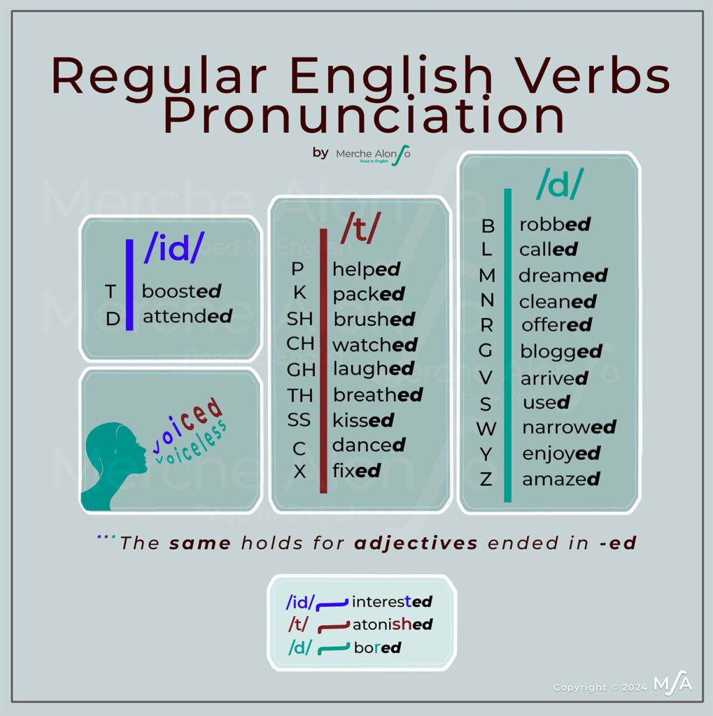 Regular English Verbs